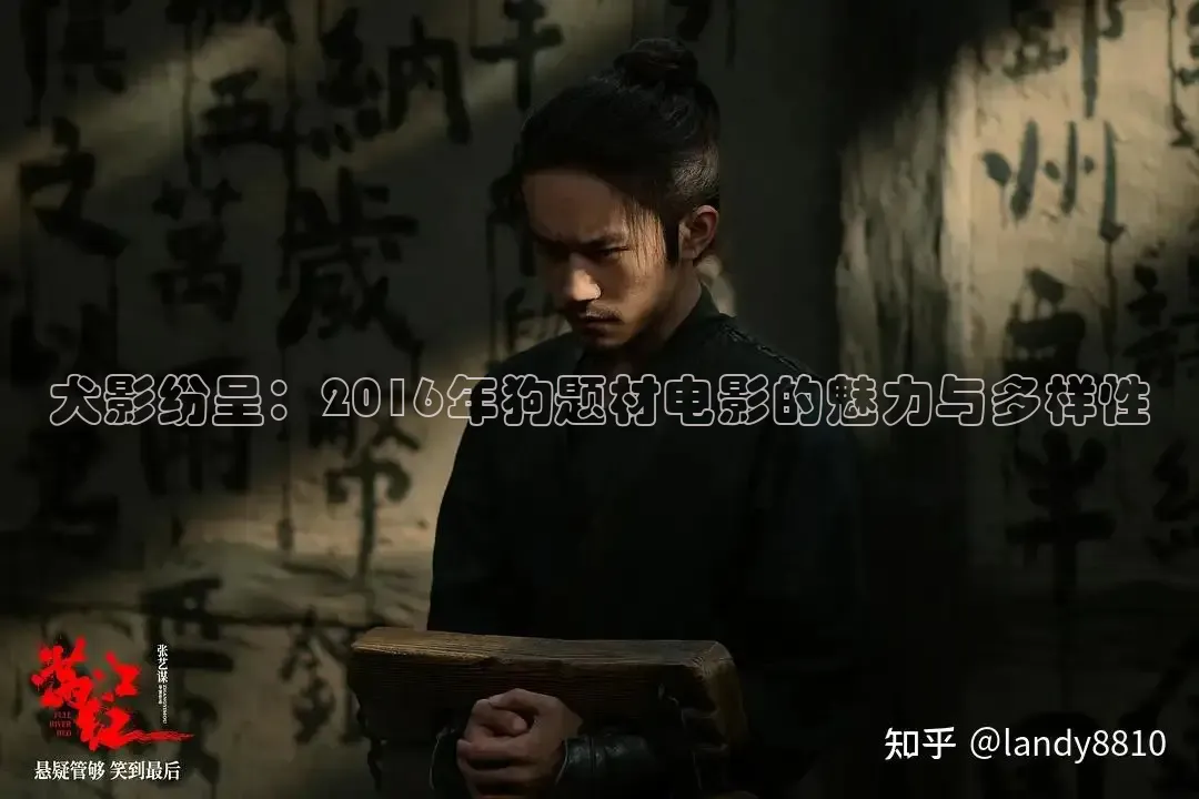 犬影纷呈：2016年狗题材电影的魅力与多样性